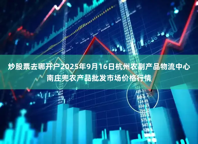 炒股票去哪开户2025年9月16日杭州农副产品物流中心南庄兜农产品批发市场价格行情